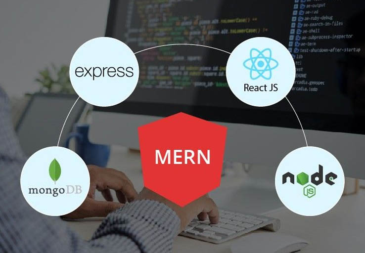 Professional in Full Stack Development using MERN Stack