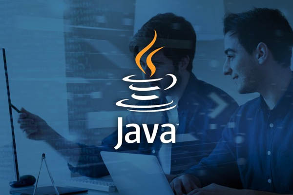 Professional in Full Stack Development using Java