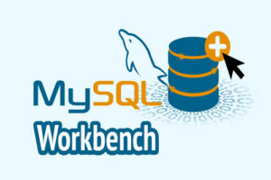 Oracle vs MySQL in Education: Best DBMS for Student Data