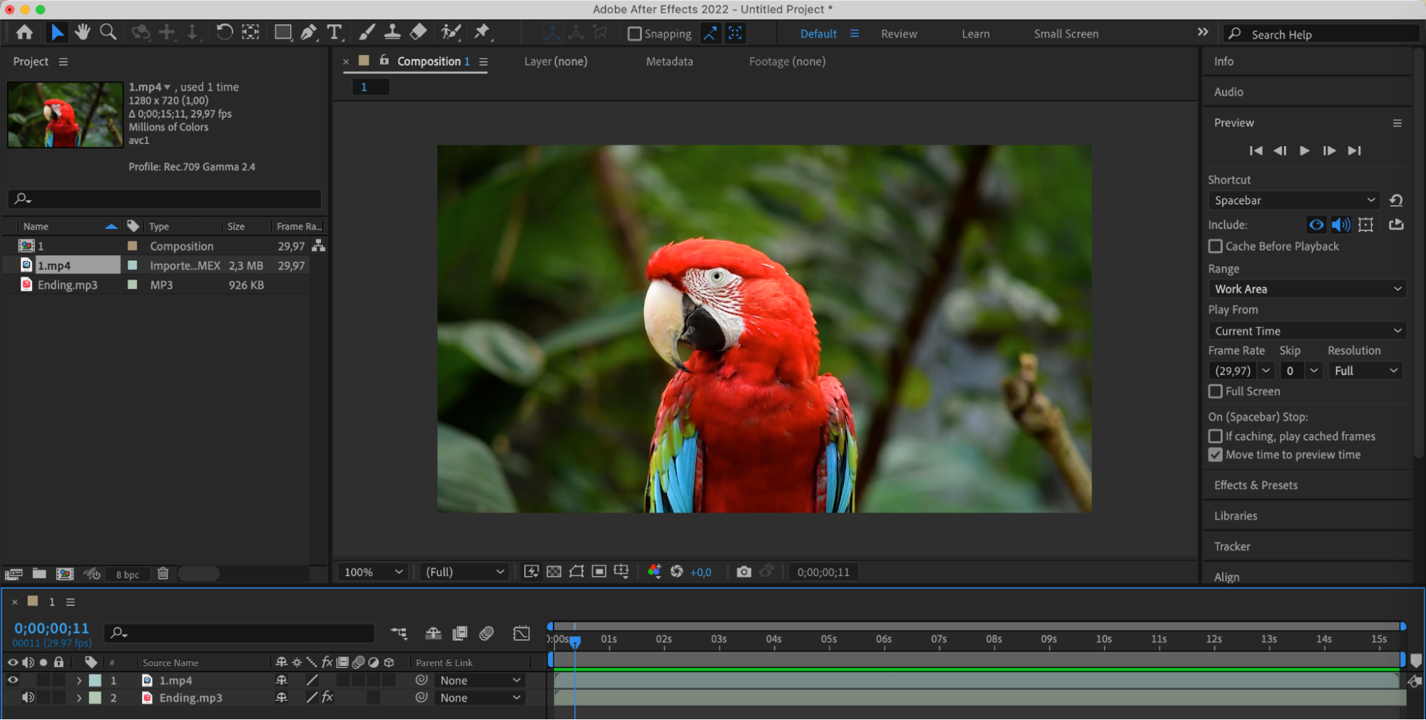 After Effects Course in Trivandrum