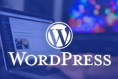 Diploma in Multimedia & Web Design