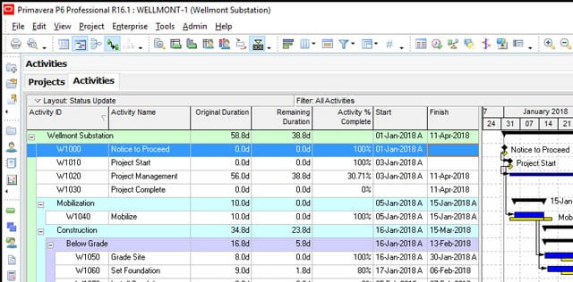 Certificate in Primavera