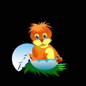 project work from gowri joshi